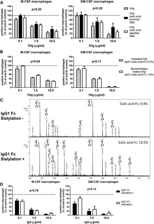 Figure 5. Inhibition of phagocytosis by IVIg is not enhanced in fractions enriched for sialic acid. (A) Inhibition of phagocytosis by IVIg enriched or depleted for sialic acid by SNA fractionation. Means and standard error of the mean of at least 4 experiments for each concentration are shown. (B) Inhibition of phagocytosis by IVIg treated with neuraminidase to remove sialic acid residues compared with sham-treated IVIg. The level of sialylation of IVIg was determined by mass spectrometry as in panel C, the results of which are indicated by percentages in the figure. Means and standard error of the mean of 4 experiments for each concentration are shown. (C) Example of mass spectrometry spectra, in this case showing trypsin-generated glycopeptides of anti-trinitrophenol IgG1 produced in the absence (IgG1 Fc sialylation-negative) or presence (IgG1 Fc sialylation-positive) of galactosyl- and sialyltransferase. Percentage Fc-sialylation is indicated. A minority of the peaks appear to belong to glycopeptides with a modified peptide mass and are labeled accordingly: *mass increase of +218.1 Da, **mass increase of +436.2 = 2 × 218.1 Da. Pep, peptide; green circle, mannose; yellow circle, galactose; blue square, N-acetylglucosamine; red triangle, fucose; purple diamond, N-acetylneuraminic acid (sialic acid). (D) Inhibition of phagocytosis by recombinant human IgG1 from panel C with very low or enhanced Fc-sialylation. Means and standard error of the mean of at least 5 experiments for each concentration are shown. P values in this figure were determined using 2-way ANOVA.