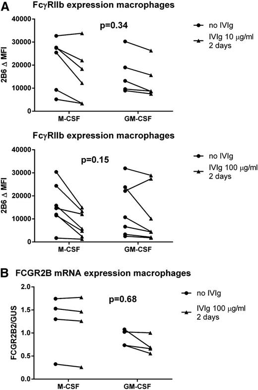 Figure 6. Incubation of macrophages with IVIg at phagocytosis-inhibiting concentrations does not lead to an increased FcγRIIb expression. (A) Staining with MoAb 2B6, corrected for isotype control, in M-CSF or GM-CSF macrophages cultured for 9 days left either unstimulated (circles) or stimulated with 10 μg/mL (upper) or 100 μg/mL (lower) IVIg for 2 days (triangles). (B) FCGR2B2 mRNA expression compared with expression of housekeeping gene GUS, in M-CSF or GM-CSF macrophages cultured for 9 days, left either unstimulated (circles) or stimulated with 100 μg/mL IVIg for 2 days (triangles). Dots represent individual measurements, with lines linking the paired experiments with cells of the same individual. P values in this figure were determined using 2-way ANOVA.