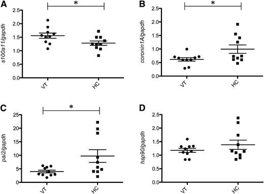 Figure 4. Validation of protein targets identified by LC-MS/MS. Ex vivo monocytes were treated with 200 µg/mL of individual IgG samples (10 VT or 10 HC) for 6 hours and levels of mRNA measured by qPCR (A-D). Data points represent the fold change expression of each sample compared with untreated; mean of duplicates and standard errors are displayed. Data are representative of at least 3 independent experiments. Statistically significant difference (*P < .05) was determined by unpaired Student t test.