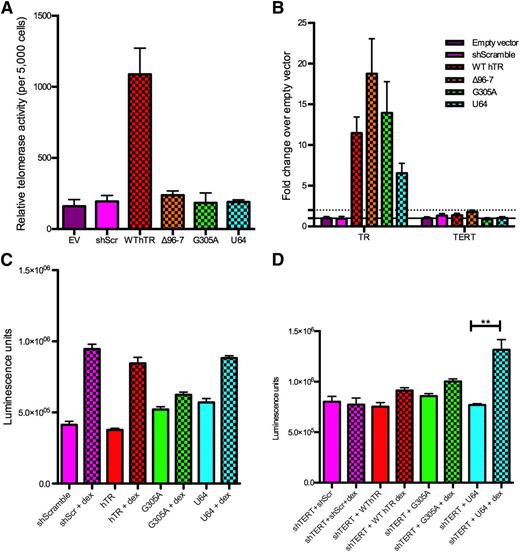 Figure 1. hTR overexpression protects from dexamethasone-induced apoptosis independent of telomerase activity. (A) Telomerase activity with hTR variant overexpression. Error bars show standard deviation of biological triplicates. (B) RNA levels of hTR overexpression represented as fold change over empty vector. Error bars show standard deviation of PCR triplicates. (C) Caspase-3/7 activity measured by luminescence. Luminescence normalized to background levels. Error bars represent standard error of the mean of biological triplicates. (D) Caspase-3/7 activity measured by luminescence when hTERT is knocked down. Error bars represent standard error of the mean of biological triplicates. **P < .001 assessed by 1-way ANOVA. Solid bars: no dexamethasone treatment; checkered bars: treatment with 1μM dexamethasone.