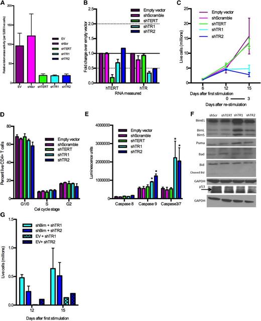 Figure 2. hTR knockdown induces Bim-mediated apoptosis. (A) Telomerase activity in CD4 T cells in culture with different lentiviral vectors. Representative example of 10 different experiments using cells from 8 different donors; each experiment was performed in triplicate. Error bars show standard deviation of biological triplicates. (B) hTERT mRNA and hTR RNA levels in CD4 T cells. Error bars show standard deviation of the mean of 2 experiments. (C) Live cell counts measured by trypan blue exclusion. Representative example from 10 different experiments using cells from 8 different donors. Error bars show standard deviation of biological triplicates. (D) Stages in cell cycle measured by DyeCycle Green. Error bars show standard deviation of biological triplicates. (E) Caspase-8, -9, -3/7 activity, measured by luminescence. Error bars represent standard deviation of biological triplicates. One-way ANOVA was performed for each caspase. *P < .05. (F) Western blot measuring Bim, Puma, Bad, Bid, and p53 in shScramble, shTERT, shTR1, and shTR2 cells. (G) Cell survival measured by trypan blue exclusion with Bim knockdown followed by hTR knockdown, compared with empty vector knockdown followed by hTR knockdown. Error bars represent standard deviation of biological duplicates. EV, empty vector; shScr, shScramble.