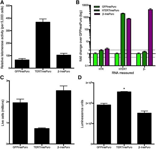 Figure 4. hTERT overexpression increases telomerase activity and induces apoptosis. (A) Telomerase activity with overexpression of hTERT variants. Error bars show standard deviation of biological triplicates. (B) RNA levels with overexpression of hTERT variants. Error bars show standard deviation of PCR triplicates. (C) Live cell counts with overexpression of hTERT variants. Error bars represent standard error of the mean of biological triplicates. (D) Apoptosis measured by caspase-3/7. Error bars show standard deviation of biological triplicates. *P < .05 assessed by 1-way ANOVA.