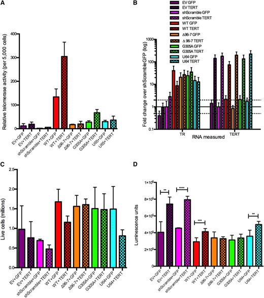 Figure 5. Overexpression of catalytically inactive hTR mutants protects from hTERT-induced apoptosis. (A) Telomerase activity with hTR and hTERT cooverexpression. Error bars represent standard deviation of biological triplicates. (B) RNA levels with hTR and hTERT cooverexpression. Error bars represent standard deviation of PCR triplicates. (C) Live cell counts with hTR and hTERT cooverexpression. Error bars represent standard deviation of biological triplicates. (D) Caspase-3/7 activity measured by luminescence. Error bars represent standard deviation of biological triplicates. Significance assessed by unpaired Student t test. **P < .01; ***P < .001; ****P < .0001.