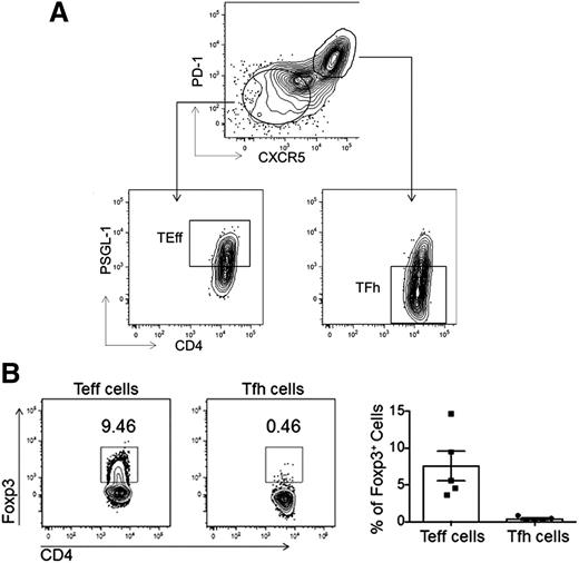 Figure 1. FACS. (A) Primary human Tfh, Teff, and naive T-cell populations were isolated from tonsil via FACS as shown. (B) Intracellular staining for Foxp3 was used to identify the percentage of Tfr cells within the Tfh cell population. Representative flow cytometry plots (left) show the percentages of Foxp3+ Tfh or Teff cells in the tonsils using the gating strategy as described in panel A, with data quantified from 5 different patients (right).