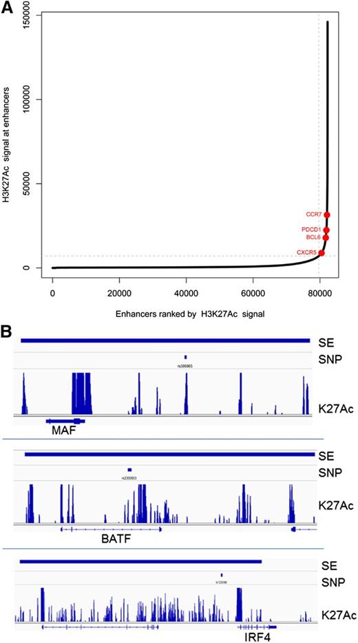 Figure 5. Superenhancers in Tfh cells. (A) Distribution of H3K27Ac normalized ChIP-seq signal across Tfh cell enhancers. Superenhancers are shown in red. Select superenhancer-associated genes are labeled. (B) Representative Tfh cell superenhancers associated with immune-related SNPs at 3 gene loci: MAF, BATF, and IRF4. The called superenhancer is denoted by the thick blue line at the top of the figure. The associated SNP is shown below the superenhancer line. The track of H3K27 acetylated chromatin is shown above the associated gene locus.