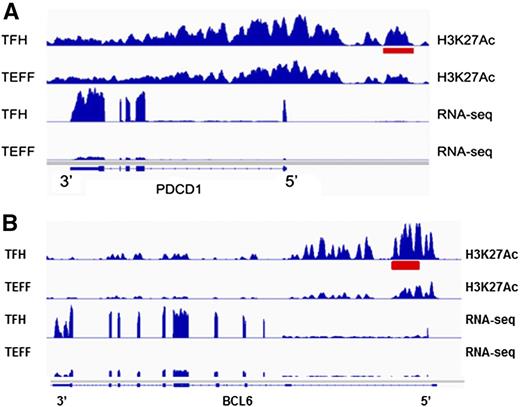 Figure 7. Tfh cell type–specific active enhancers. (A) A differentially acetylated enhancer 5′ of the PDCD1 gene locus in Tfh cells is shown (red bar). Normalized RNA sequencing read density from each cell type at the PDCD1 gene locus is shown below. (B) A differentially acetylated enhancer in intron 1 of the BCL6 gene locus in Tfh cells is shown (red bar). Normalized RNA sequencing read density from each cell type at the BCL6 gene locus is shown below.
