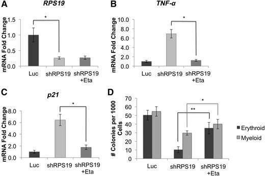 Figure 3. Inhibition of TNF-α rescues erythroid defects in RPS19-deficient cord blood cells. Human CD34+ hematopoietic progenitor cells were infected with lentivirus carrying shRNA against RPS19 or Luc control, sorted for GFP+ cells after 72 hours, and treated with etanercept for 48 hours. (A) shRNA knockdown of RPS19 reduced RPS19 mRNA levels by approximately 70% compared with control. (B) Treatment of RPS19-deficient cord blood cells with etanercept reduced TNF-α and (C) p21 expression in these cells. (D) Etanercept treatment rescued both erythroid and myeloid colony formation of RPS19-deficient cells. Data are representative of 2 independent experiments. *P < .05; **P < .01; ***P < .001.