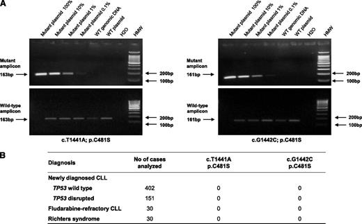 Figure 1. AS-PCR assay for the detection of ibrutinib-resistant BTK mutations. (A) Conventional agarose-gel electrophoresis of the AS-PCR products documenting the sensitivity (10−3) and specificity of the AS-PCR assay. After AS-PCR for the mutant allele, a mutation-specific band is amplified from the mutated plasmid DNA (positive control) and its serial dilutions into wild-type plasmid DNA down to 0.1%. No bands are amplified from the wild-type plasmid DNA and the wild-type genomic DNA from a healthy donor (negative controls), thus confirming the specificity of the assay. (B) Results of the AS-PCR screening of the BTK c.T1441A; p.C481S and c.G1442C; p.C481S mutations in ibrutinib-naïve CLL patients representative of different phases of the disease.