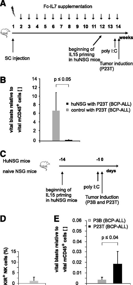 Figure 5. Immature, KIR- NK cells exert alloreactivity toward pediatric BCP-ALL in vivo. (A) Experimental setup for humanization of NSG mice. (B) huNSG mice exhibit alloreactivity toward pediatric BCP-ALL in vivo. P23T was injected into huNSG or nonhumanized control mice, and leukemic burden was quantified 20 hours later in the BM. Given is the number of vital blasts normalized to vital murine CD45+ cells. Figure represents pooled data of 2 independent experiments obtained on a total of 7 huNSG and 3 control mice. (C) Experimental setup for Figure 5D-E. (D) KIR expression (KIR2DL1/S1/S4, KIR2DL2/L3/S2, and KIR3DL1) on BM-derived CD56+ NK cells of huNSG mice. (E) HuNSG-derived NK cells from SSC21D exert significantly higher in vivo alloreactivity against P3B than toward P23T. Given is the number of BM-residing vital blasts normalized to vital murine CD45+. Data are representative of 2 independent experiments with a total of 4 huNSG mice.