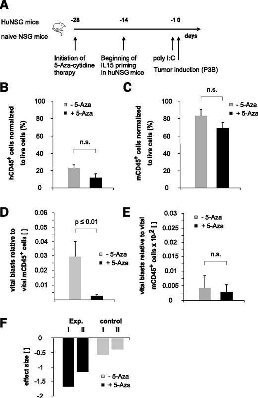 Figure 6. “Bridging” therapy with 5-aza-cytidine supports NK-cell alloreactivity toward pediatric BCP-ALL in the early posttransplantation period. (A) Experimental setup. (B-C) Low-dose and long-term 5-aza-cytidine treatment does not exert statistically relevant BM cytotoxicity. Given is the number of human (B) or murine (C) CD45+ cells normalized to total live cells. Data depicted in Figure 6B were obtained in 5-aza-cytidine–treated huNSG mice, and data depicted in Figure 6C were obtained in 5-aza-cytidine–treated nonhumanized control mice. (D) Treatment with 5-aza-cytidine significantly reduces BCP-ALL tumor load in huNSG mice. (E) Low-dose 5-aza-cytidine treatment regimen does not exert relevant direct cytotoxic effects on pediatric BCP-ALL. Given is the number of vital blasts in the BM normalized to murine CD45+ cells in nonhumanized control NSG mice. (F) Calculated effect size of in vivo 5-aza-cytidine treatment on pediatric BCP-ALL burden. “Exp. I and II” denote the 2 different experiments in huNSG mice; “control I and II” denote the effect in the respective control groups. Data are representative of 2 independent experiments with a total of 11 huNSG mice and 14 control NSG mice. n.s., not significant.