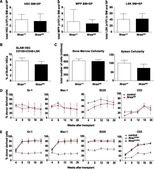 Figure 2. Nras is dispensable for normal function of HSCs. (A) Total number of CD150+CD48−LSK HSCs, CD150−CD48−LSK MPPs, and LSK cells in BM and spleens (SP) of WT (Nras+/+) and Mx1-cre; Nrasfl/fl (NrasΔ/Δ) mice 2 weeks after pIpC treatment (n = 10). (B) BrdU incorporation in WT and NrasΔ/Δ HSCs after 24-hour BrdU incorporation (n = 6). SLAM, signaling lymphocyte activation molecule. (C) BM and spleen cellularity in WT and NrasΔ/Δ mice (n = 10). (D) 5 × 105 donor BM cells from Mx1-cre; Nrasfl/fl (NrasΔ/Δ) or littermate control mice at 2 weeks after pIpC treatment were transplanted into irradiated recipient mice with 5 × 105 recipient BM cells. Donor cell reconstitution in the myeloid (Gr-1+ or Mac-1+ cells), B- (B220+), and T- (CD3+) cell lineages was monitored for 4 to 20 weeks after transplantation (n = 5 recipients/genotype). Only the week 4 time point is significant for B- (P < .001) and T-cell (P = .024) repopulation. (E) Competitive repopulation of Mx1-cre; NrasG12D/fl; (NrasG12D/Δ), Mx1-cre; NrasG12D/+ (NrasG12D/+), or littermate control BM cells (n = 5 recipients/genotype). Two-tailed Student t tests were used to assess statistical significance and P < .001 between NrasG12D/+ or NrasG12D/Δ and control at 8, 12, 16, and 20 weeks with no significant difference between NrasG12D/+ and NrasG12D/Δ.