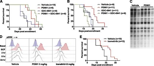 Figure 3. MEK inhibition prolongs survival in mice transplanted with NrasG12D AML. (A) Survival of secondary recipient mice engrafted with 2 transplantable MPNs that were treated with PD901 (n = 8), GDC-0941 (n = 8), a combination of PD901 and GDC-0941 (n = 8), or control vehicle (n = 10). PD901 significantly prolonged the survival of transplant recipients (P = .0009). (B) Survival of recipient mice transplanted with 3 independent aggressive NrasG12D AML lines treated with PD901 (n = 11), GDC-0941 (n = 11), a combination of PD901 and GDC-0941 (n = 8), or the control vehicle (n = 9). PD901 significantly prolonged the survival of transplant recipients (P = .0003). (C) Southern blot analysis of AML #6768 reveals an identical pattern of retroviral integrations in recipients treated with PD901 compared with controls. (D) WT mice treated with vehicle, PD901 (5 mg/kg), or trametinib (0.5 mg/kg) were euthanized at time 0 and 2, 8, and 24 hours, BM was collected, and c-Kit+ cells were assayed for ERK phosphorylation (pERK) under basal conditions and after stimulation with stem cell factor (SCF). (E) Survival of recipient mice transplanted with the 3 aggressive NrasG12D AMLs shown in panel C treated with 0.5 mg/kg per day trametinib (n = 12) or the control vehicle (n = 10) demonstrating a significant improvement in overall survival (P = .0063).