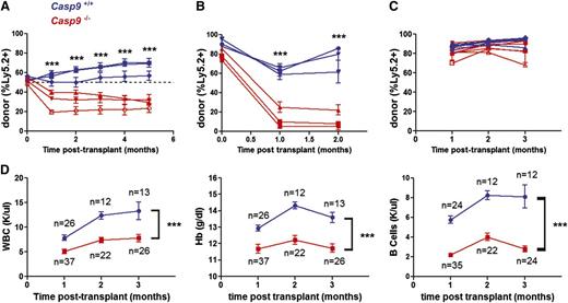 Figure 2. Casp9−/− HSCs are functionally impaired. (A) FLCs from Casp9−/− or Casp9+/+ pups (Ly-5.2+) were transplanted 1:1 in competition with WT congenic (Ly-5.1+) FLCs into lethally-irradiated WT congenic (Ly-5.1+Ly-5.2+) recipients. Peripheral blood was analyzed for donor chimerism at monthly intervals. Casp9−/− cells demonstrated a competitive disadvantage at 1 to 5 months, suggesting that their short-term repopulating cells are functionally impaired. Each curve represents the mean ± SEM of 3 to 4 recipients from separate FLC donors (n = 3 donors per genotype, 21 recipients total). The dotted line indicates no difference in competitive advantage. (B) In secondary transplants, bone marrow cells obtained from primary recipients of Casp9−/− donor cells failed to reconstitute the hematopoietic compartment of lethally-irradiated secondary recipients, although secondary transplants from donors engrafted with Casp9+/+ cells were successful. Each curve represents the mean ± SEM of 4 recipients from separate donors (n = 3 donors of each genotype, 24 recipients total). (C) Noncompetitive transplants with Casp9−/− or Casp9+/+ FLCs had similar engraftment in lethally irradiated WT congenic (Ly-5.1+) recipients (mean % donor cells at 1 month of 87.0% and 81.2% for Casp9+/+ and Casp9−/−, respectively; P = .086). Each curve represents the mean ± SEM of 1 to 5 recipients from Casp9−/− (n = 7) or Casp9+/+ (n = 5) donors. (D) Recipients of Casp9−/− FLCs developed leukopenia, anemia, and B-cell lymphopenia compared with recipients of Casp9+/+ FLCs. ***P < .0005.