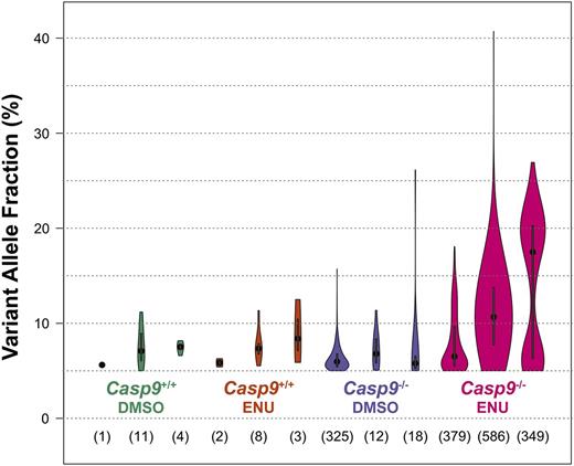 Figure 5. Loss of Casp9 leads to oligoclonal hematopoiesis after alkylator treatment. FLCs from three Casp9−/− or Casp9+/+ FLCs were each transplanted into 4 lethally-irradiated WT congenic recipients. At 6 and 7 weeks posttransplant, recipient mice were injected with ENU (100 mg/kg) or an equivalent volume of 10% DMSO. At 12 weeks after treatment, donor cells were sorted from the bone marrow and exome sequencing was performed. Somatic single nucleotide variants (SNVs; present in the bone marrow and absent in matched-donor fetal tissue) were identified. SNVs were more frequent and had higher VAFs in ENU-treated vs DMSO-treated Casp9−/− cells. Within each plot, the dot represents the median VAF and the bar indicates the 95% confidence interval. The total number of somatic SNVs detected in each sample is shown below.