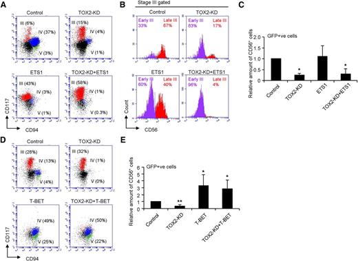 Figure 5. Overexpression of T-BET but not ETS-1 rescues the TOX2 knockdown phenotype in NK cell development. (A) CD34+ cells transduced with control, ETS-1, TOX2-KD, or TOX2-KD+ETS-1 were subjected to in vitro NK cell development. Representative FACS plots of different NK developmental stages based on GFP gating and the surface expression of CD117 and CD94 on day 17 were shown. (B) Stage III (CD117+CD94−) cells were gated for the analysis of CD56 expression to distinguish early stage III (CD117+CD94−CD56−) and late stage III (CD117+CD94−CD56+) cells. (C) The relative amount of GFP+CD56+ cells are calculated: Relative amount of CD56+ cells = (% of GFP+ CD56+ cells of the sample)/(% of GFP+ CD56+ cells of Control) and displayed as the mean ± SD of 5 independent experiments. (D) CD34+ cells transduced with control, T-BET, TOX2-KD, or TOX2-KD+T-BET were subjected to in vitro NK cell development. Representative FACS plots of different NK developmental stages based on GFP gating and the surface expression of CD117 and CD94 on day 17 were shown. (E) The relative amount of GFP+CD56+ cells are displayed as the mean ± SD of 4 independent experiments. *P < .01, **P < .0001.