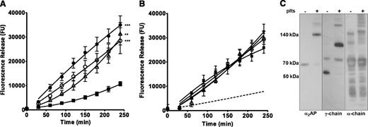 Figure 2. α2AP is required for platelet FXIII-A to stabilize thrombi. (A) (△) FXIII-depleted thrombi were prepared with (▪) 5 × 108 plts/mL, (○) 5 × 108 plts/mL with neutralizing antibody to α2AP, or (●) neutralizing antibody to α2AP with no added platelets. **P < .01; ***P < .001 vs FXIII-depleted thrombi + 5 × 108 plts/mL (n = 7). (B) (△) α2AP-depleted thrombi were prepared with (▪) 5 × 108 plts/mL, (□) with 5 × 108 plts/mL and TG inhibitor, and (▲) with TG inhibitor and no platelets. The dashed line represents PNP thrombus lysis (n = 3). (C) FXIII-depleted thrombi with and without the addition of 5 × 108 plts/mL were dissolved and separated under reducing conditions by sodium dodecyl sulfate- polyacrylamide gel electrophoresis; fibrinogen γ-chain (57 kDa), α-chain (60 kDa), or α2AP (70 kDa) antigens were detected by western blotting. Representative image of two separate experiments.