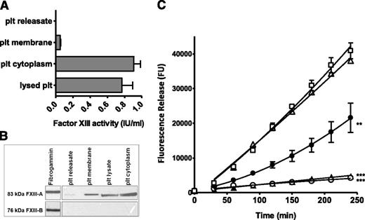 Figure 4. Platelet FXIII-A is associated with the membrane and cytoplasmic fractions. (A) Platelets (plt) were lysed or fractionated and FXIII-A activity (IU/mL) was measured in each fraction at the equivalent concentration (5 × 108 plts/mL). Data are shown as mean with standard error of the mean, n = 8. (B) Platelets were fractionated and FXIII-A and FXIII-B antigens were detected in fractions by western blotting. Image shown is representative of 3 experiments. (C) (△) FXIII-depleted thrombi were prepared with (○) unstimulated lysed platelets at 5 × 108 plts/mL, (▲) isolated cytoplasm from unstimulated platelets at 5 × 108 plts/mL, (●) isolated membranes from unstimulated platelets at 5 × 108 plts/mL, or (□) releasate collected from platelets (5 × 108/mL) stimulated with 200 μg/mL collagen and 200 μM TRAP-6. **P < .01; ***P < .001 vs FXIII-depleted thrombi (n = 3).