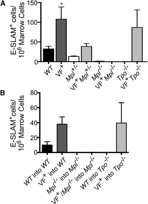 Figure 5. Mpl is necessary for primitive HSC overexpansion observed in JAK2V617F+ MPNs. (A) Bone marrow cells harvested from 16-week-old congenital or (B) transplant mice 16-weeks after transplant were analyzed for number of E-SLAM+ HSCs by flow cytometry. Data are presented as mean ± SEM; n = 2 to 9 mice per group.
