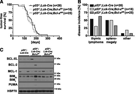 Figure 1. Loss of BCL-XL does not delay thymic lymphoma development in p53-deficient mice. (A) Tumor-free survival of p53−/−;Lck-Cre (control; n = 26), p53−/−;Lck-Cre;Bcl-xfl/+ (n = 16, compared with control; P = .6703), and p53−/−;Lck-Cre;Bcl-xfl/fl mice (n = 26; compared with control; P = .3236); mouse cohorts were compared using the log-rank Mantel-Cox test. (B) Incidence (as % of total mice analyzed) of thymic lymphoma, splenomegaly, and other pathologies (eg, sarcoma) in cohorts of p53−/−;Lck-Cre (n = 26), p53−/−;Lck-Cre;Bcl-xfl/+ (n = 16), and p53−/−;Lck-Cre;Bcl-xfl/fl mice (n = 24). (C) Analysis of the proteins indicated by western blotting in primary thymic lymphoma samples from sick p53−/−;Lck-Cre, p53−/−;Lck-Cre;Bcl-xfl/+, and p53−/−;Lck-Cre;Bcl-xfl/fl mice (representative of 6-10 samples for each genotype). Probing for HSP70 was used as a loading control.