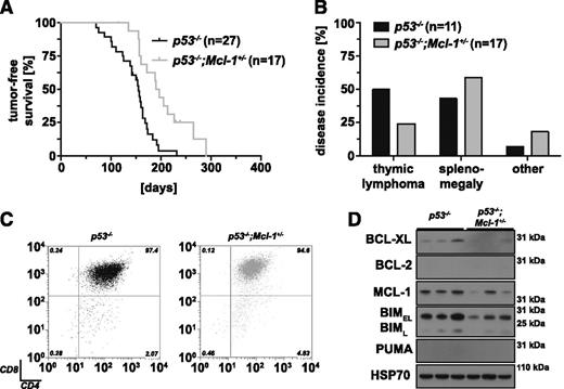 Figure 2. Loss of 1 allele of Mcl-1 significantly delays thymic lymphoma development in p53−/− mice. (A) Tumor-free survival comparing p53−/− (control; n = 27) and p53−/−;Mcl-1+/− mice (n = 17; log-rank Mantel-Cox test, P = .0006). (B) Incidence in % of thymic lymphoma, splenomegaly, and other pathologies (eg, sarcoma) in p53−/− (n = 11) and p53−/−;Mcl-1+/− mice (n = 17). (C) Representative immunophenotyping of primary thymic lymphoma samples from p53−/− and p53−/−;Mcl-1+/− mice (gated on PI− and TCRβ+ large cells). (D) Analysis of the proteins indicated by western blotting of primary thymic lymphoma samples from mice of the indicated genotypes (representative of 7 samples each). Probing for HSP70 was used as a loading control.