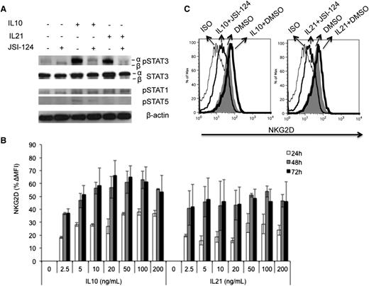 Figure 3. Enhanced NKG2D expression on primary human NK cells by IL-10 and IL-21 is STAT3 dependent. (A) To assess the activation of STAT1, STAT3, and STAT5, NK cells were treated with 20 ng/mL of IL10 or IL21, with or without 0.1 µM of JSI-124 for 24 hours. Total and tyrosine-phosphorylated STAT were evaluated by western blot of cell lysates using STAT- or phospho–STAT-specific antibodies as indicated. (B) To assess cytokine-mediated induction of NKG2D expression, primary NK cells were treated with IL-10 and IL-21 at the indicated concentrations. After treatment of 24, 48, and 72 hours, NKG2D expression was evaluated by flow cytometry. (C) To assess the contribution of STAT3 signaling to cytokine-mediated induction of NKG2D, primary NK cells were treated with 20 ng/mL IL-10 or IL-21 with or without 0.1 µM of JSI-124 for 24 hours. NKG2D surface expression on NK cells was then determined by flow cytometry. (A,C) Representative of at least 3 independent experiments. (B) Pooled data from 4 donors.