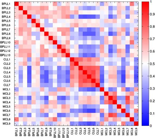 Figure 3. Correlation between microarray data derived from the individual patients, showing a well-defined CLL group, but no other correlations or clustering of the other patient groups. T = 0.8; 1340 probe sets.