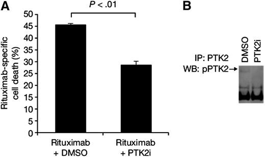 Figure 3. Inhibition of PTK2 blunts R-dependent cell death. (A) SU-DHL-6 cells were treated with R and a PTK2 small-molecule inhibitor (PF-573228) or vehicle control (DMSO) for 24 hours, and cell death was assessed by Annexin V/propidium iodide staining and flow cytometry. Data were normalized to isotype control antibody. (B) Confirmation of pPTK2 Y397 reduction by the PTK2i was determined by western blotting (WB). DMSO, dimethylsulfoxide.