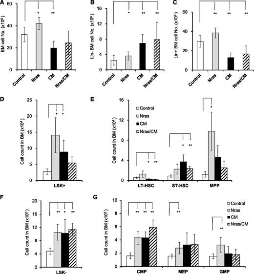 Figure 1. Cbfβ-SMMHC and NrasG12D expand preleukemic stem and progenitor cells. Quantification of BM cells from Mx1Cre (control, white), Nras+/LSL-G12D/Mx1Cre (Nras, gray), Cbfb+/56M/Mx1Cre (CM, black), and Nras+/LSL-G12D/Cbfb+/56M/Mx1Cre (Nras/CM, diagonal) mice by flow cytometry, 20 days after Cre activation. (A-C) n = 8-14 mice per group: (A) BM cell numbers (per mouse) in each group; (B) lineage-negative (Lin–) BM cell numbers in each group; (C) Lineage-positive (Lin+) BM cell numbers in each group. (D-E) n = 4-8 mice per group: (D) LSK+ cell numbers in BM; (E) long-term (LT-HSCs, LSK+CD34–FLT3–), short-term (ST-HSCs, LSK+CD34+FLT3–) hematopoietic stem, and multipotential progenitor (MPPs, LSK+CD34+FLT3+) cell numbers in each group. (F-G) n = 5-12 mice per group: (F) LSK– cell numbers; (G) common myeloid progenitor (CMP, LSK–CD34+FcγRII/III–), megakaryocyte-erythroid progenitor (MEP, LSK–CD34–FcγRII/III–), and granulocyte-monocyte progenitor (GMP, LSK–CD34+FcγRII/III+) cell numbers in each group. *P < .05, **P < .01.
