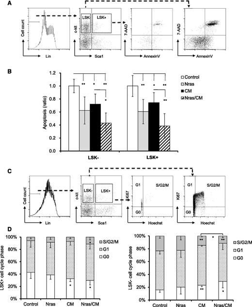 Figure 2. Cell cycle and apoptosis analyses of BM preleukemic cells expressing Cbfβ-SMMHC and NrasG12D. (A-B) BM cells from mice treated as in Figure 1 were stained with 7-AAD and Annexin V and analyzed by flow cytometry: (A) the gating of each compartment is shown; (B) quantification of the ratio of apoptosis levels for LSK– (left) and LSK+ (right) cells of each group normalized to control group (n = 5-11, *P < .05, **P < .01). (C-D) Flow cytometry analysis of cell-cycle status using Ki67 and Hoechst staining: (C) gating of BM progenitor for LKS+ and LSK– compartments; (D) quantification (percentage) of cells in G0 (white), G1 (dotted), or S/G2/M (gray) phase for each group (n = 4-8, *P < .05, **P < .01).