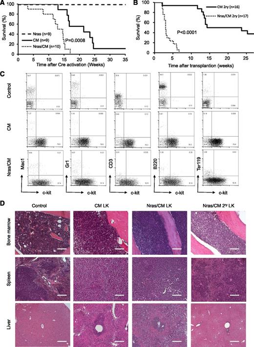 Figure 3. Characterization of leukemia in mice expressing Cbfβ-SMMHC and NrasG12D. (A) Kaplan-Meier curve of leukemia-free survival in Nras (dash), CM (solid), and Nras/CM (dotted) mice after Cre activation (time 0). (B) Kaplan-Meier survival curve of recipients transplanted with leukemic cells from CM (solid) and Nras/CM (dotted) mice. (C) Representative FACS analysis of peripheral blood cells from wild-type control and moribund CM or Nras/CM mice, showing progenitor cell marker c-kit (x-axis) and lineage markers (y-axis). (D) Representative hematoxylin and eosin (H&E)–stained histology sections of BM, spleen, and liver from wild-type control, moribund CM, Nras/CM mice, and Nras/CM secondary leukemic mice. LK, leukemia. The scale bars in the BM and spleen represent 50 μm; in the liver 100 μm.
