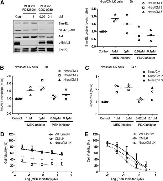 Figure 6. Inhibition of MEK/ERK pathway increased Bim-EL levels and reduced cell viability of Nras/CM leukemic cells. (A) Western blot analysis of Bim-EL, phospho-Akt, Akt, phospho-Erk1/2, and Erk1/2 levels in Nras/CM leukemic cells treated for 5 hours with dimethyl sulfoxide (Con), MEK inhibitor PD325901 or PI3K inhibitor GDC-0980 (left); quantification of Bim-EL protein levels normalized to Erk1/2 is shown for 3 independent Nras/CM clones (right). A vertical line has been inserted to indicate a repositioned gel lane. (B) Bcl2l11 transcript levels after the same 5-hour treatment were analyzed by quantitative RT-PCR and values were normalized to Actb; this experiment was performed in 3 independent Nras/CM clones, each in triplicate (average value of each clone relative to control is shown in the figure). (C) Quantification of apoptosis (Annexin V+/7AAD–) levels in c-kit+-gated Nras/CM leukemic cells treated for 24 hours; this experiment was performed in 3 independent Nras/CM clones, each in triplicate (average value of each clone relative to control is shown in the figure). (D-E) Dose-response curve of Lin– wild-type BM (open circle), CM leukemic cells (open square), or Nras/CM leukemic cells (open triangle) to (D) MEK inhibitor (PD325901) or (E) PI3K inhibitor (GDC-0980) for 48 hours. Cell viability was measured by CellTiter-Glo assays. Nonlinear regression curve fit was generated by inhibitor (log) vs normalized response-variable slope analysis. The mean of 3 independent clones from each group is shown. *P < .05, **P < .01.