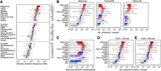 Figure 7. Estimation of tumor neoantigen load across cancers. (A) Box plots comparing overall somatic mutation rates detected across cancers by massively parallel sequencing. AML, acute myeloid leukemia; DLBCL, diffused large B-cell lymphoma; ESO AD, esophageal adenocarcinoma; GBM, glioblastoma; LUAD, lung adenocarcinoma; LUSC, lung squamous cell carcinoma; clear cell RCC, clear cell renal carcinoma; papillary RCC, papillary renal cell carcinoma. The distributions (shown by box plot) of (B) the number of missense, frameshift, and splice-site mutations per case across 13 cancers, (C) the summed neoORF length generated per sample and of the predicted neopeptides with (D) IC50 <150 and (E) <500 nM generated from missense and frameshift mutations. For all panels, the left and right ends of the boxes represent the 25th and 75th percentile values, respectively, and the segment in the middle is the median. The left and right extremes of the bars extend to the minimum and maximum values.