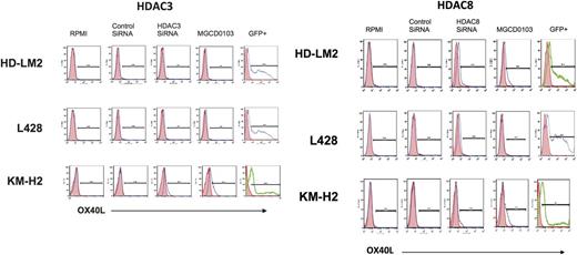 Figure 3. Effect of HDAC1, -2, -3, and -8 siRNA transfection on OX40L expression. HL cell lines were transfected with HDAC1, -2, -3, and -8 siRNA and cells were analyzed for OX40L expression after 48 hours of incubation. Inhibition of expression of HDAC1, -2, -3, or -8 had little or no effect on OX40L expression in HL cells.
