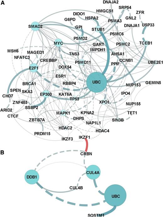 Figure 2. In silico network and pathway enrichment analysis. Lists of the proteins in the CRBN complex that upregulated (A) or downregulated (B) in response to lenolidomide were evaluated against the latest versions of the following databases (covering >50% of human proteins): CellMap, Reactome, KEGG, NCI-PID, and BioCartel. Linker genes were included in the network modeling and pathway enrichment predictions. Results were filtered for a P value < .05 and a false discovery rate < 0.05. The separate networks modeled from downregulation vs upregulation lists are presented in (A) and (B), and the association or connection between IKZF1 and CRBN was a custom annotation added to the figures.