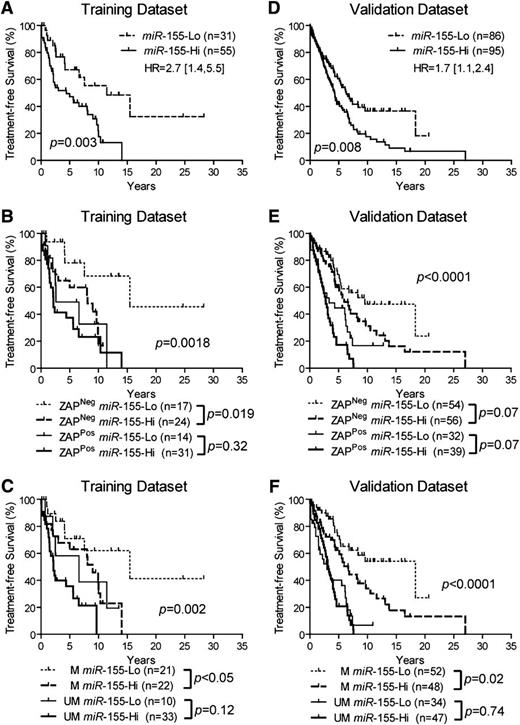 Figure 1. Relationship between expression levels of miR-155, ZAP-70, IGHV mutation status, and TFS. (A) In the training dataset, Kaplan-Meier curves depicting the TFS probability over time from diagnosis of patients who were segregated into 2 groups (miR-155-Lo or miR-155-Hi) according to the relative amounts of miR-155 expressed by the blood CLL cells of each patient. (B,C) Kaplan-Meier curves depicting the TFS probability over time from diagnosis of patients segregated by miR-155 and ZAP-70 status (B), or miR-155 and IGHV mutation status (C). (D) In the validation dataset, Kaplan-Meier curves depicting the TFS probability over time from diagnosis for patients who were segregated into 2 groups (miR-155-Lo or miR-155-Hi) based upon whether or not the blood CLL cells expressed miR-155 above the training set–defined threshold for high miR-155HG. (E,F) In the validation dataset, Kaplan-Meier curves depicting the TFS probability over time from diagnosis for patients segregated by miR-155 and ZAP70 status (E) or miR-155 and IGHV status (F). Statistical significance was determined by log-rank test (P < .05). P values for the comparisons between subgroups are indicated below the graph for panels B, C, E, and F.