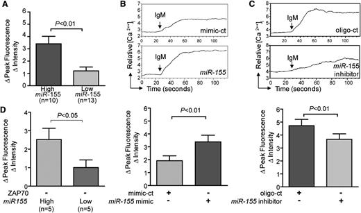 Figure 3. Anti-µ–induced calcium flux in CLL cells that express high vs low levels of miR-155. (A) The height of each column in the histogram describes the increase in fluorescence intensity after anti-µ stimulation of CLL cells that expressed high miR-155 vs low miR-155, as indicated at the bottom of the histogram. (B) Anti-µ–induced calcium mobilization in CLL cells after transfection with mimic-ct (top graph) or miR-155 (lower graph). The relative mean fluorescence intensity in intracellular calcium is plotted as a function of time. The arrow labeled “IgM” indicates the time at which the anti-µ was added to the cells. In the histogram at the bottom, the height of each column corresponds to the mean increase of fluorescence intensity after anti-µ stimulation for samples transfected with either mimic-ct or miR-155 microRNA, as indicated at the bottom by a “+”. (C) Anti-µ–induced calcium mobilization in CLL cells after transfection with oligo-ct or miR-155 inhibitor. The relative mean fluorescence intensity in intracellular calcium is plotted as in panel B. The height of each column in the bottom histogram corresponds to the increase of fluorescence intensity after anti-µ stimulation for samples respectively transfected with either control-ct or miR-155 inhibitor, as indicated at the bottom by a “+”. (D) The height of each column in the histogram describes the increase in fluorescence intensity after anti-µ stimulation of ZAP-70–negative CLL cells with high miR-155 or low miR-155, as indicated at the bottom of the histogram. Statistical significance was determined by the unpaired Student t test (P < .05). IgM, immunoglobulin M.