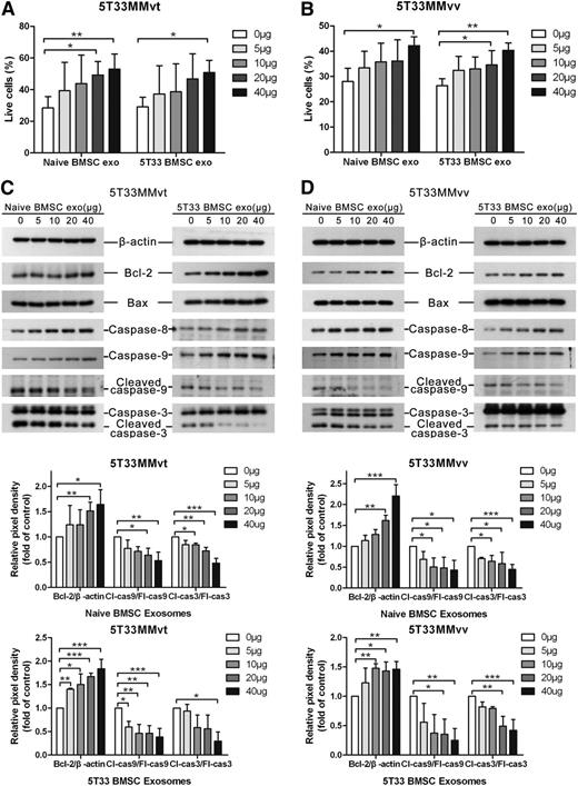 Figure 4. BMSC-derived exosomes increase MM cell survival and reduce the activation of caspase-3/8/9. 5T33MMvt (A) or 5T33MMvv (B) cells were cultured in serum-free conditions and treated with different amounts of naive or 5T33 BMSC-derived exosomes for 24 (5T33MMvv cells) or 48 hours (5T33MMvt cells). Apoptotic cells were determined using 7-aminoactinomycin D (7-AAD) and Annexin-V staining after treatment. A similar set-up was used to detect apoptosis-related proteins Bcl-2, Bax, caspase-8, caspase-9, and caspase-3 in 5T33MMvt (C) and 5T33MMvv (D) cells after exosome treatment, using western blot. The analysis of β-actin protein was included as a loading control. The pixel densities of proteins were quantified from 3 independent experiments and presented by histograms in the bottom panel. Mean values ± standard deviation for 3 independent experiments are shown. *P < .05; **P < .01; ***P < .001. cas3, caspase-3; cas9, caspase-9; Cl, cleaved; Fl, full-length.