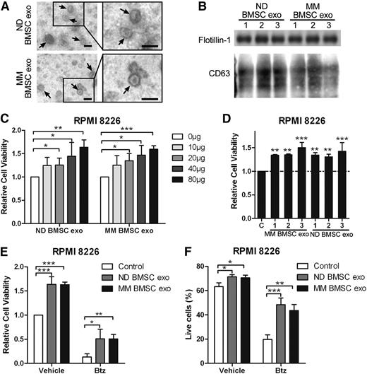 Figure 7. Human BMSC-derived exosomes increase the MM cell viability and induce drug resistance to bortezomib. (A) Transmission electron microscopy images of exosomes derived from ND and MM patients’ BMSCs. The scale bars indicate 100 nm, and the arrows indicate the typical exosomes. (B) Exosomal positive markers CD63 and flotillin-1 were detected in ND and MM BMSC-derived exosomes using western blot. (C) RPMI 8226 cells in serum-free medium were treated with different amounts of ND or MM BMSC-derived exosomes for 48 hours, and cell viability was measured and presented as the fold of control. (D) RPMI 8226 cells in serum-free medium were cultured with 40 μg/mL exosomes derived from 3 ND BMSCs or MM BMSCs for 48 hours, and cell viability was measured. (E) RPMI 8226 cells were cultured in serum-free medium with 80 μg/mL ND or MM BMSC-derived exosomes in the absence or presence of Btz (2 nM) for 48 hours, and cell viability was measured. (F) RPMI 8226 cells in serum-free medium were treated with ND or MM BMSC-derived exosomes (80 μg/mL) in the absence or presence of Btz (2 nM), and the live cells were measured using fluorescence-activated cell sorter staining. Mean values ± standard deviation for 3 independent experiments are shown. *P < .05; **P < .01; ***P < .001.