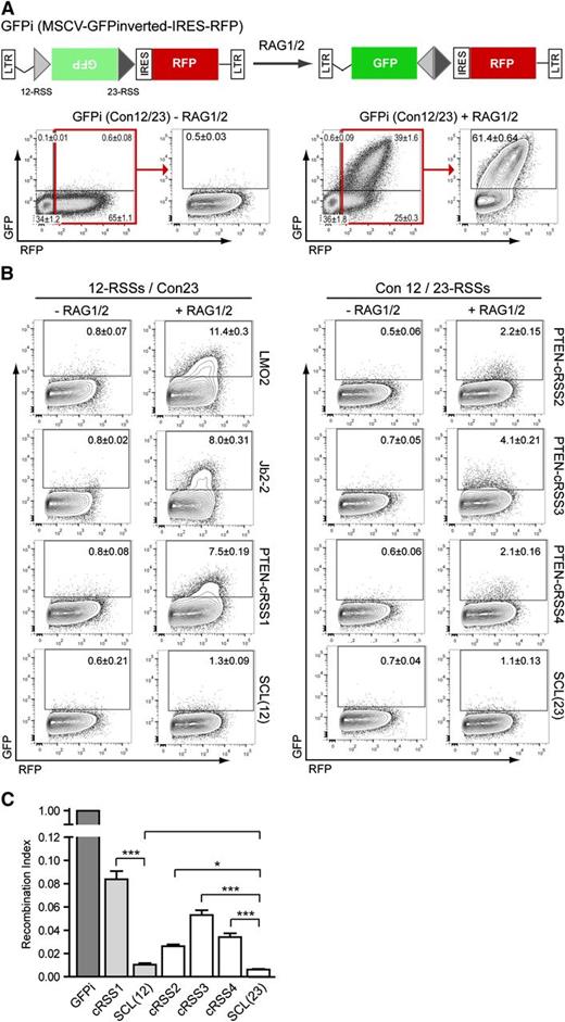 Figure 3. Intronic PTEN cRSS mediate RAG recombination events. (A) Top panel: Linear representation of the GFPi reporter construct that results in the inversion of GFP coding sequence during RAG-mediated recombination, and consequent GFP expression. The inverted GFP sequence (light green box) is flanked by a proximal 12-spacer RSS (light gray triangle) and a distal 23-spacer RSS (dark gray triangle) followed by the IRES-RFP as transfection control reporter (red box). GFP positivity is a measure for recombination potential. Bottom panel: Control in vitro RAG recombination assay; flow cytometry analysis of HEK293T cells transiently transfected with either an irrelevant, mock vector (in the absence of RAG1/2 expression vectors; negative control) or the GFPi-reporter construct containing the consensus 12- and 23-RSS in the presence of RAG1/2 expression vectors.29 The flow cytometry plots show the expression of GFP and RFP within gated live cells defined by FSC and SSC parameters (not shown) and the values represent the percentage of each cell population in the quadrants. The gate used to discriminate RFP-positive from RFP-negative cells is depicted by a red square and used for the contour plot analysis. The efficiency of recombination is indicated as the percentage of GFP-positive (recombination positive) cells within the RFP-positive (transfected) population. (B) Flow cytometry analysis of HEK293T cells transiently transfected with the GFPi variant constructs containing specific 12-spacer cRSS (LMO2, SCL/TAL1, PTEN-cRRS1, or the Jβ2.2-RSS) site combined with the consensus 23-spacer RSS (left panel). The GFPi variant constructs containing the consensus 12-spacer RSS29 were combined with 23-spacer PTEN cRSS2, cRSS3, cRSS4, or the control SCL/TAL1 23-spacer cRSS version (right panel). The human LMO2 12-spacer cRSS and the mouse Jβ2-2 bona fide RSS were used to establish the range of recombination activitites for low-efficiency RSSs as measured by the GFPi reporter assay. The 12- and 23-spacer versions of the human SCL/TAL1 cRSS were used to define the lower limit of detection of cRSS function in this reporter assay. Average percentage ± SD of GFP+ cells in the RFP+ population are derived from 4 to 5 independent experiments. (C) Recombination index was determined by normalizing the recombination efficiencies of each indicated reporter to that of GFPi Con12/23 and recombination efficiencies were calculated subtracting the GFP background of each respective unrecombined control. Values represent the mean ± SEM of 3 independent experiments with 3 replicates per condition; *P < .05; **P < .01; and ***P < .0001.