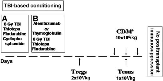 Figure 1. Conditioning regimen and inoculum. (A) Twenty-five patients (September 2008-October 2009): 8 Gy in a single fraction at a fast dose rate with lung shielding on day –10, thiotepa (4 mg/kg per day) on days –10 and −9, fludarabine (40 mg/m2 per day) from days –10 to –6, and cyclophosphamide (35 mg/kg per day) on days –7 and –6. (B) Eighteen patients (May 2010-December 2012): alemtuzumab lot #84039D 20 mg/m2 and thymoglobulin 3-7 mg/kg.