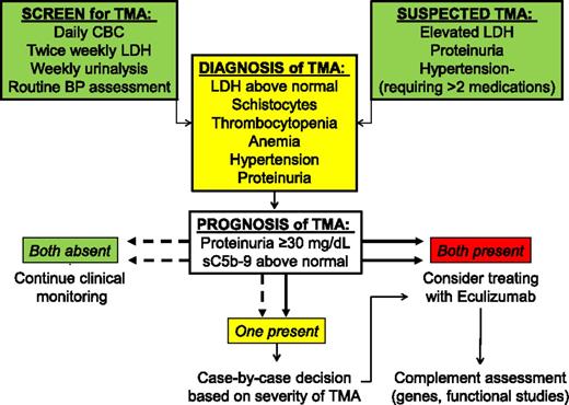 Figure 5. Algorithm for the evaluation of TMA after HSCT. Screening for TMA includes monitoring LDH, complete blood count, and routine urinalyses. TMA should be suspected in HSCT recipients with an acute elevation of LDH, proteinuria >30 mg/dL, and hypertension more severe than expected with calcineurin or steroid therapy, usually requiring >2 antihypertensive medications. Clinical interventions should be considered for patients with both proteinuria >30 mg/dL and elevated sC5b-9.