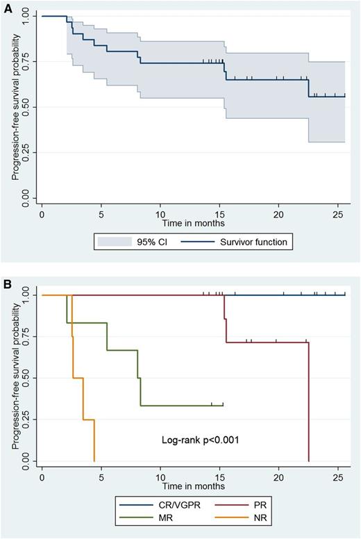 Figure 2. Impact of CaRD therapy and response attainment on progression-free survival. Kaplan-Meier curve denoting (A) progression-free survival for all 31 patients and (B) based on categorical response following treatment with CaRD; 95% CI for survivor function is shown. NR, no response.