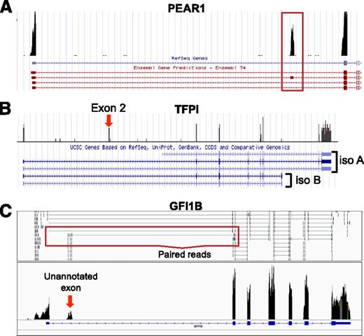 Figure 5. Platelets express mRNA splice variants. Shown are coverage graphs of PEAR1 (A), tissue factor pathway inhibitor (TFPI) (B), and GFI1B (C) in platelets. (A) Note that there are 4 different Ensembl annotations listed underneath PEAR1. The red box is drawn around the second exon, which distinguishes the second annotation from the other 3 annotations. (B) The annotations for 2 major isoforms of TFPI, α (iso A) and β (iso B), are distinguished by their 3′ ends. Note that platelets are rich in isoform α but not isoform β. Exon 2 (exon 2 is very small, so it is difficult to see the annotation here), which can also be removed by alternative splicing, is also present in the platelet. (C) The arrow points to a putative novel exon of GFI1b. Annotations for an exon at this region are not present in any of the Ensembl, UCSC, or RefSeq databases. The red box outlines examples of paired reads that map from the unannotated novel exon to the known second exon suggesting that it is part of the GFI1B transcript. See it yourself: To see PEAR1, TFPI, and GFI1B in platelets via the UCSC Genome Browser, follow the Web link > access instructions for site 1 (see Table 1). For individual reads, follow the Web link > access instructions for site 2 (see Table 1). Search for PEAR1, TFPI, or GFI1B in the browser.