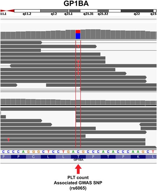 Figure 7. Single nucleotide resolution of glycoprotein Ib alpha (GP1BA) in platelets. Individual reads from platelets from 2 different individuals are shown. The arrow points to the location of the SNP rs6065, which associates with platelet counts in GWASs. Looking at the individual nucleotide sequences compared with the reference sequence indicates that the reads from the bottom individual match the reference cyotosine (reference matches are grayed out), whereas approximately half of the reads from the top individual contain the C to T polymorphism. See it yourself: To visualize rs6065 in GP1BA expressed in platelets via the UCSC Genome Browser, follow the Web link > access instructions for site 2 (see Table 1). Search for rs6065 and zoom in to the center of the region, or alternatively, type chr17:4 836 371-4 836 392 in the search box.