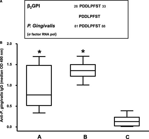 Figure 2. Sequence homology between the β22GPI peptide and P gingivalis and anti–P gingivalis immunoreactivity. (A) Sequence homology between β2GPI peptide and P gingivalis. (B) Box-whisker plots of anti–P gingivalis IgG in patients with SLE and APS positive for anti-β2GPI peptide IgG (A group), subjects with moderate chronic periodontitis (B group), and healthy subjects without periodontitis and autoimmune diseases (C group). Median, quartiles, range, and possibly extreme values are indicated. Statistical analysis was performed with the Mann-Whitney test. *P < .001 compared with the C group.