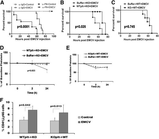Figure 6. Platelets and platelet-TLR7 mediate infection-affected mortality. WT male mice (17 weeks) were depleted of platelets by injecting anti-GPIb-α antibody (2 μg/g of mouse), and at 12 hours postinjection they were infected with EMCV. (A) Survival of EMCV-infected, platelet-depleted mice (n = 13) compared with IgG-injected and infected controls (n = 12) evaluated by Mantel-Cox test. Noninfected anti-IgG (n = 4) or anti-Plt (n = 4) injected mice had a 100% survival. (B-F) Platelets from WT or TLR7KO mice (abbreviated KO here) were isolated, labeled with CFSE, and transfused in recipient mice (all mice had similar CFSE-labeled platelets posttransfusion assessed by flow cytometry) as labeled on the graphs. The control mice were transfused with buffer in which platelets were concentrated. Mice were injected with EMCV 2 hours posttransfusion. (B-C) Survival curves of the injected mice determined by Mantel-Cox test and based on: n = 5 for WT->KO and n = 6 for buffer->KO, and n = 6 for KO->WT and n = 5 for buffer->WT. (D) Reduction in platelet count in the transfused KO (see Figure 1F) mice as a result of platelet-TLR7 presence. (E) Platelet count in the WT mice as a result of KO platelet transfusion. (F) Heterotypic aggregates induced in the WT and the KO mice post buffer transfusion. Data for D-F are average ± SD and were analyzed by 2-tail Student t test, based on the following n: (D-E) n = 4 (WTplt->KO), n = 5 (buffer->KO), n = 5 (KOplt->WT), and n = 3 (buffer->WT) (F) WT groups: n = 3 (control), n = 3 (EMCV), n = 3 (control), and n = 5 (EMCV).