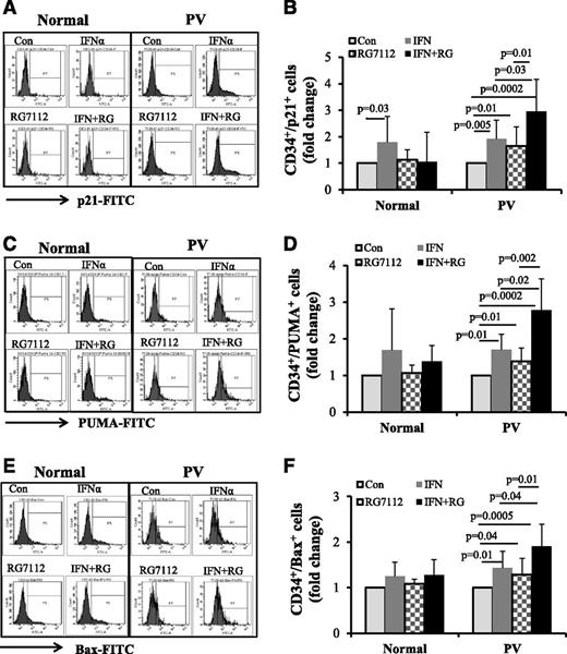 Figure 3. Low doses of RG7112 and Peg-IFNα 2a increase p53 activity. Normal (n = 5) and PV (n = 6) CD34+ cells were treated with 200 nM of RG7112 or 200 ng/mL of Peg-IFNα 2a alone or in combination. (A) Results of flow cytometric analysis of CD34+/p21+ cells in normal and PV CD34+ cells. (B) The fold change of numbers of CD34+/p21+ cells in normal and PV CD34+ cells after drug treatment. (C) Results of flow cytometric analysis of CD34+/PUMA+ cells after drug treatment of normal and PV CD34+ cells. (D) The fold change of CD34+/PUMA+ cell numbers after drug treatment of normal and PV CD34+ cells. (E) Flow cytometric analysis of CD34+/Bax+ cells after drug treatment of normal and PV CD34+ cells. (F) The fold change of numbers of CD34+/Bax+ cells after treatment of normal and PV CD34+ cells.