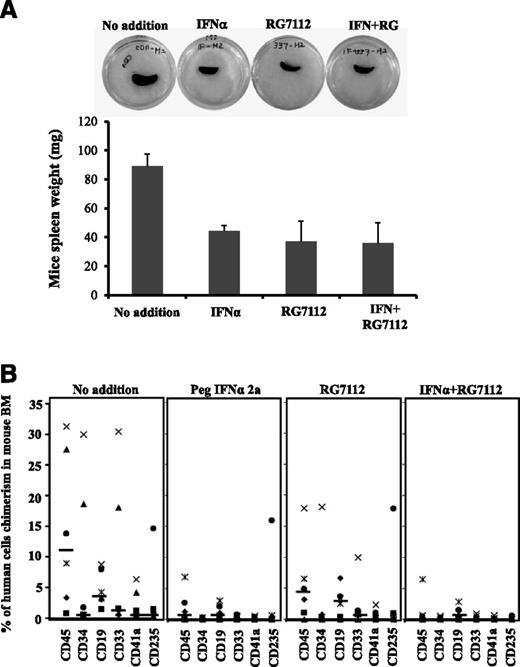 Figure 5. Treatment with low doses of RG7112 and Peg-IFNα 2a decreases the ability of MPN CD34+ cells to repopulate the BM and spleen of NSG mice. (A) Prior treatment of MF spleen CD34+ cells with low doses of RG7112 and Peg-IFNα 2a reduced the spleen size and weight in a recipient NSG mouse. The transplantation of untreated PMF CD34+ led to an enlarged spleen 7 months after transplantation, whereas recipient mice transplanted with CD34+ treated with either RG7112 or Peg-IFNα 2a alone or in combination had smaller spleens. Similar results were observed when CD34+ cells from this same patient were transplanted into a second set of NSG mice. (B) Treatment with RG7112 and Peg-IFNα 2a alone or in combination decreased both donor-derived myeloid and lymphoid cells (CD19, CD33, CD41a, and CD235) in the BM of recipient NSG mice.