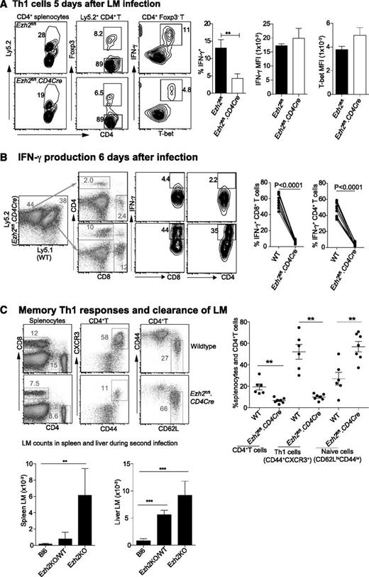 Figure 6. Ezh2 controls differentiation and survival of effector T cells in vivo. Chimera mice (n = 5-8/group) were IV injected with 2 × 104 LM. Results shown are (A) CD4+ T cells that are IFN-γ producing Th1 cells 5 days postinfection; and (B) IFN-γ producing CD4+ and CD8+ T cells 6 days postinfection. (C) Four weeks after primary infection with 1 × 104 LM, mice were rechallenged with 2 × 105 LM. The phenotype of spleen CD4+ T cells and the bacterial number in spleen and liver lysates were determined 3 days after the second infection. Results shown are from 3 independent experiments. Unpaired Student t test: **P < .01.