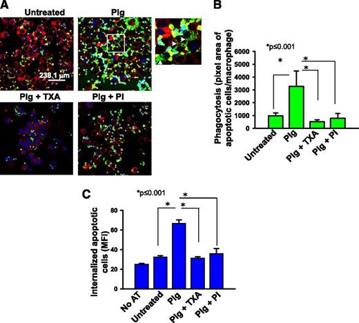 Figure 1. Plg enhances phagocytosis of apoptotic thymocytes by J774A.1 cells. J774A.1 cells, a murine macrophage-like cell line, were pretreated with or without Plg (1 μM for 24 hours) and then washed and incubated with fluorescently labeled apoptotic thymocytes. In some experiments, cells were also pretreated with TXA (200 μM) or PI (20 nM) with the Plg. (A) Confocal microscopic images of J77A.1 cells with ingested apoptotic thymocytes labeled with Cell Tracker (green) dye. Images (original magnification, ×63) were captured at room temperature under Leica TCS-SP2-AOBS spectral laser scanning confocal microscope and analyzed using the Image-Pro Plus software. Plasma membrane (red) is marked with Cell Mask plasma membrane stain. The 4′,6 diamidino-2-phenylindole stains nuclei (blue) of both macrophages and apoptotic thymocytes. A zoomed image from Plg-treated cells (white inset) shows breakdown of ingested apoptotic thymocytes (white arrows). (B) Quantification (means ± SD) of IOD of total fluorescence intensity of labeled apoptotic bodies per macrophage nucleus in a microscopic field. (C) Flow cytometry quantification of ingested apoptotic thymocytes labeled with green fluorescence in treated or untreated J774A.1 cells. Bars are ±SD of average MFI of the macrophage population as measured by flow cytometry and analyzed using CellQuest software. Prior to analysis, cell-surface fluorescence was quenched with Trypan blue. Results are representative of 3 independent experiments. AT, apoptotic thymocytes; IOD, integrated optical density; MFI, median fluorescence intensity; PI, plasmin inhibitor D-Val-Phe-Lys chloromethylketone dihydrochloride.